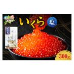 ふるさと納税 いくら 北海道 石狩市 9月末まで予約受付 期間限定 いくら(塩)(300g)|ふるさと納税 北海道 石狩市 いしかり 北海道 300g 300グラム 三百…