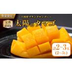 ショッピングふるさと納税 マンゴー ふるさと納税 マンゴー 宮崎県 日南市 完熟マンゴー 太陽のタマゴ 2玉 〜 3玉 期間限定 数量限定 マンゴー 宮崎 フルーツ 果物 くだもの 国産 食品 先行予約 2…