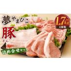 豚肉 ロース 夢やまびこ豚 詰め合わせセット 1.7kg