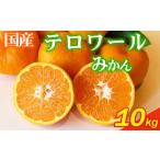 マンゴー 果樹園直送 美味しさが濃いね テロワールみかん 1…