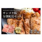 豚肉 セット サンゴク豚 分割配送セット 合計1.7kg