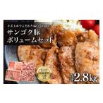 豚肉 セット サンゴク豚 ボリュームセット 合計2.8kg