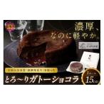 ケーキ カステラ ガトーショコラ 全国大会金賞