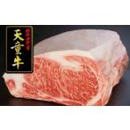 牛肉 サーロイン 08-12-025 天童牛キングサーロイン