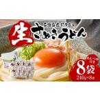 うどん 生 半生めん 工場直送打ち立て生さぬきうどん8ケ入