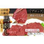 ふるさと納税 馬肉 山形県 白鷹町 山形県 白鷹産 馬刺しブロック(生食用) 約4〜5人前 (約500g) 馬肉 馬刺し 刺身 肉 国産 冷蔵