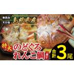 魚貝類のどぐろのどぐろと大ぶりれんこ鯛の一夜干しセット