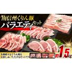 豚肉 セット 8-Y01 南信州くりん豚 バラエティセット