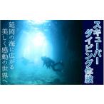 体験チケット スキューバダイビング体験
