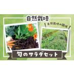 fu.... налог комплект *... Tottori префектура кото . блок природа культивирование .. салат комплект примерно 1kg