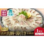 魚貝類 鯛 鮮度抜群 延岡産活〆真鯛の湯引きお刺身