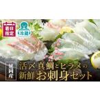 豪華白身の饗宴 延岡産活〆真鯛とヒラメの新鮮お刺身セット