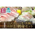 魚貝類 鯛 延岡産活〆カンパチと真鯛の新鮮お刺身セット