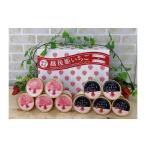 ショッピングふるさと納税 アイス ふるさと納税 アイス・ヨーグルト ジェラート 新潟県 燕市 いちごシャーベット、ジェラート詰め合せ FC013007