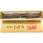 人参 大根 他根菜 A-06芳井 明治ごぼう