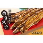 魚貝類 穴子 淡路島源平特選焼き穴子 大4本入