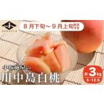 ふるさと納税 もも 長野県 小布施町 川中島白桃 約3kg 6〜12玉 ［小布施屋］ 桃 白桃 もも モモ フルーツ 果物 令和8年産 2026年8月下旬〜9月上旬発送 ［A-6］
