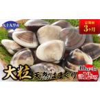 しじみ あさり 蛤 はまぐり 定期便 九十九里産