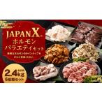 豚肉 セット JAPAN X ホルモンバラエティセット2.4kg