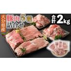 ふるさと納税 豚肉 セット 大分県 臼杵市  寄附額見直し ＼選べる内容量?／ 小分けされてるから便利 大分県産 豚詰め合わせ５種（約２ｋｇ） チョイス限定寄附…
