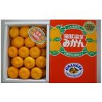 蒲郡温室みかん2.5kg 秀品