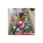 fu.... налог комплект *... Nagano префектура Ogawa .301* san san рынок ... эксперт .cho стул делать свежий сезон. овощи комплект 