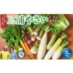 セット 詰合せ ボリューム満点 季節の野菜詰め合わせ