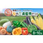 産直センターうらりマルシェ 旬の三浦産物セット