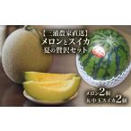 ふるさと納税 メロン メロン青肉 神奈川県 三浦市  三浦農家直送 メロンとスイカ夏の贅沢セット　M003-009
