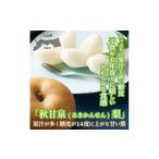 ふるさと納税 梨 鳥取県 大山町 先行予約 DS-04 秋甘泉梨(あきかんせんなし)(5kg)
