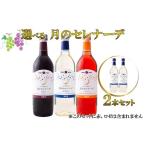 ふるさと納税 ワイン 白ワイン 岩手県 花巻市 月のセレナーデ2本セット（白・白） エーデルワイン 042-5