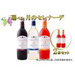ふるさと納税 ワイン ロゼワイン 岩手県 花巻市 月のセレナーデ2本セット(ロゼ・ロゼ) エーデルワイン 042-6