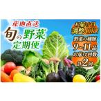 セット 詰合せ 2回定期便 旬の野菜 2ヶ月の定期便