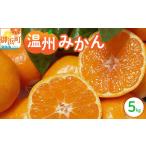 果物類 みかん 丸安青果の御浜温州みかん5キロ