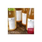 果汁飲料 りんご 自家製100%ジュース