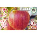 ふるさと納税 りんご 長野県 飯綱町 りんご サンふじ 秀 〜 特秀 5kg 松橋りんご園 沖縄県への配送不可 2025年12月上旬頃から2026年1月下旬頃まで順次発送予定…