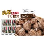 ふるさと納税 乾物 干ししいたけ 大分県 国東市 国東産の肉厚干し椎茸(冬? どんこ)40g×6袋(チャック付き)_29058A