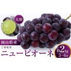 ふるさと納税 果物類 ぶどう 岡山県 -  先行予約 ニューピオーネ 2kg （3〜6房） ご家庭用 岡山 ピオーネ ピオーネ 大粒 ぶどう ブドウ 葡萄 果物 種無し くだ…
