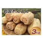 人参 大根 他根菜 岩国 れんこん 泥付き 3kg