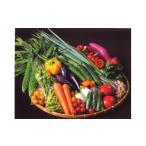 fu.... налог комплект *... Kanagawa префектура .. город 006-05.. san .. овощи комплект .. производство овощи 3~5 вид степени (. .. .. san . из,.. длина свежий. овощи . тщательно отобранный делать ....