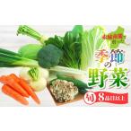 セット 詰合せ 通常便 赤城南麓で育った季節の野菜