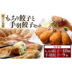 ふるさと納税 餃子 宮崎県 高鍋町 宮崎空港で大人気 TV番組で餃子日本一獲得 餃子の馬渡馬渡のもっちり餃子40個と手羽餃子9本セット 2〜3週間以内に順次出荷 …