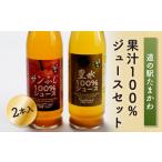 果汁飲料 りんご 道の駅たまかわ 果汁100%ジュースセット