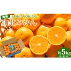 ふるさと納税 果物類 みかん 高知県 香南市 山北みかん 5kg 10月下旬より順次配送 みかん ブランドみかん みかん 5kg 山北蜜柑 山北ミカン 小玉みかん mikan…
