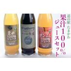 果汁飲料 道の駅たまかわ 果汁100%ジュースセット