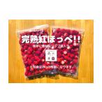 ふるさと納税 いちご 静岡県 牧之原市 冷凍 いちご 苺 2kg 完熟 紅ほっぺ ヘタ取り いちご 静岡 限定 苺 冷凍いちご 果物 スイーツ いちご 紅ほっぺ 牧之原市 …