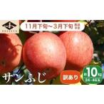 ふるさと納税 りんご 長野県 小布施町  訳あり サンふじ 約10kg 24〜46玉 ［小布施屋］ りんご 林檎 リンゴ 不揃い 規格外 果物 フルーツ 生産者応援 支援 家…