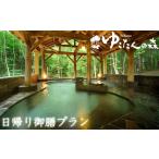 お食事券 南網張ありね温泉 ゆこたんの森