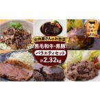 肉 ハンバーグ 岩元精肉店 黒毛和牛 かごしま黒豚バラエテ…