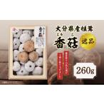 野菜類 きのこ 産椎茸 香 逸品 IP-B しいたけ